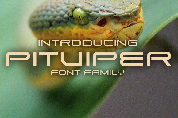 Pitviper: Field-Testing This Display Font for Real Projects